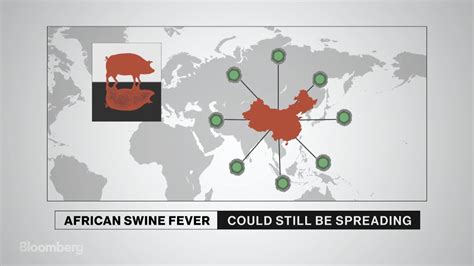 china hog crisis